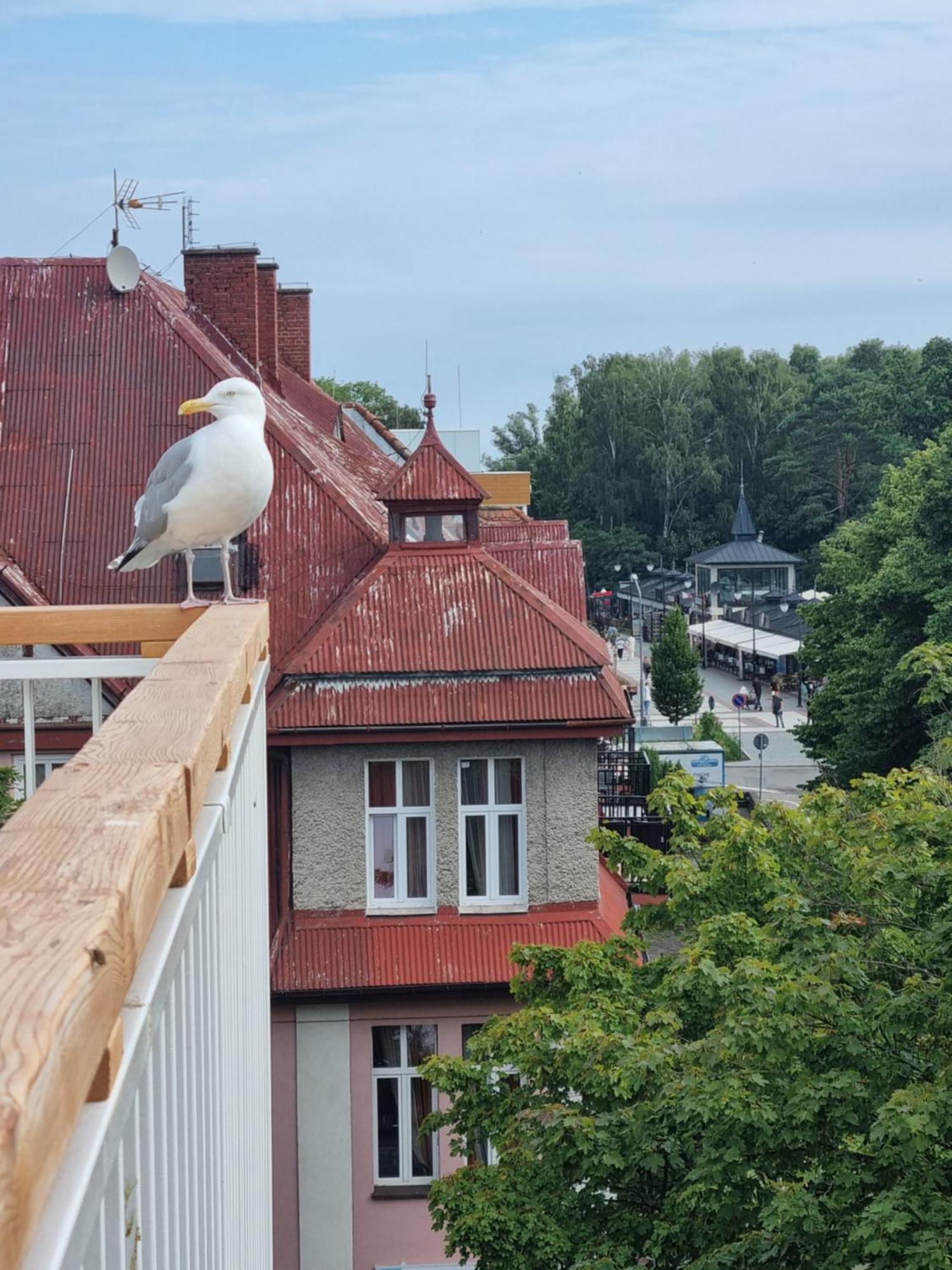 Osrodek Wczasowy Temida Hotel Świnoujście Buitenkant foto